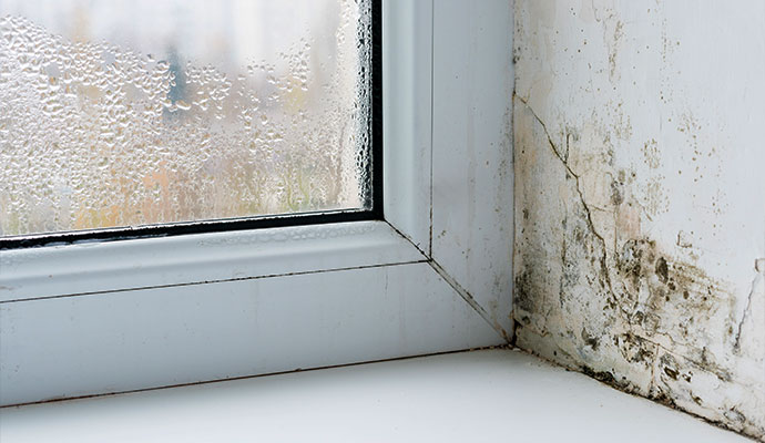 Condensation on the window pane