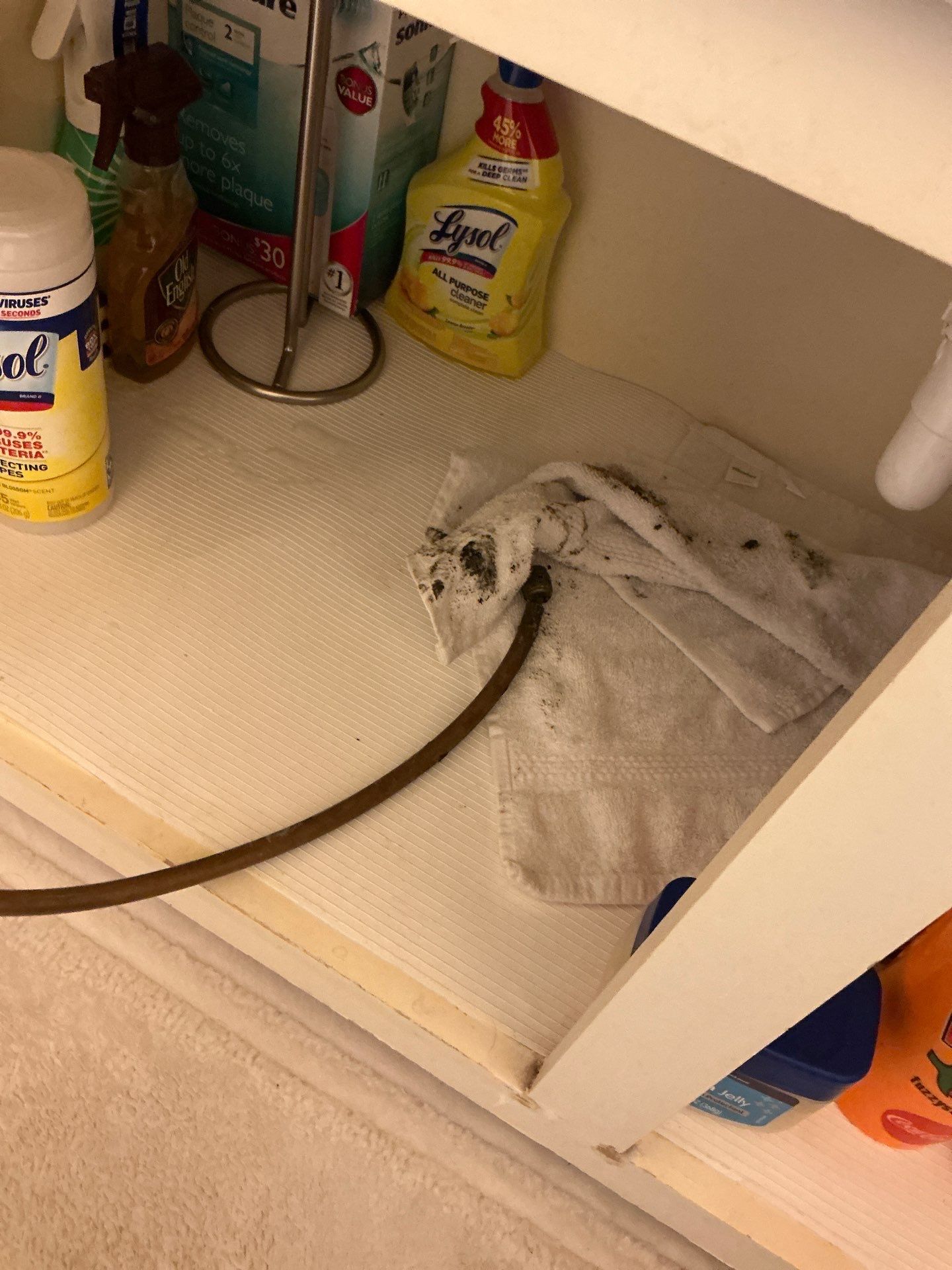 Debris inside sink p-trap